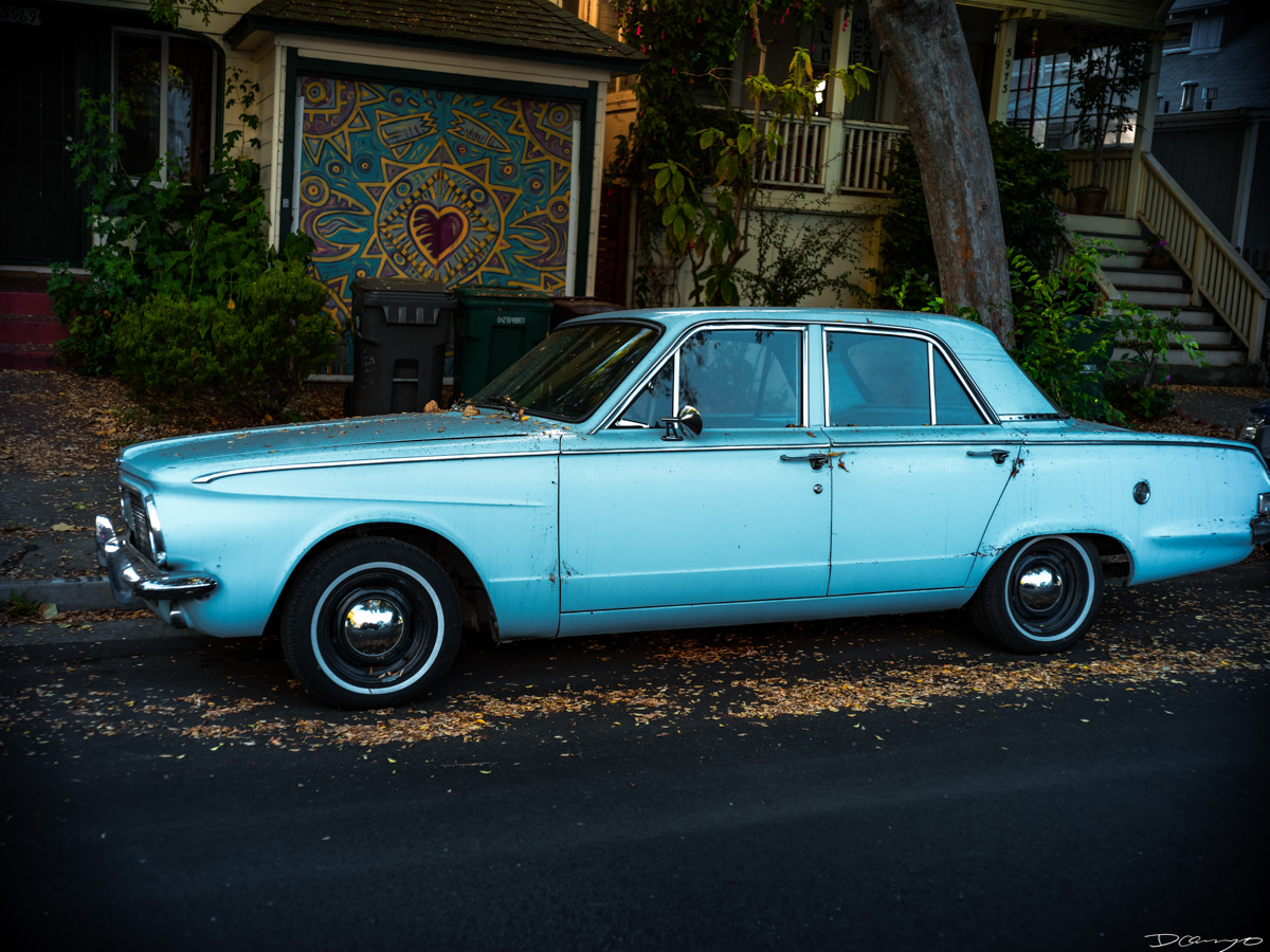 Pretty things that I wanted to take pictures of around Berkeley in 2023.